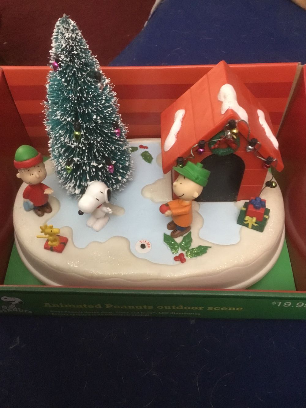 Pear Tree, Fruit With Ribbons