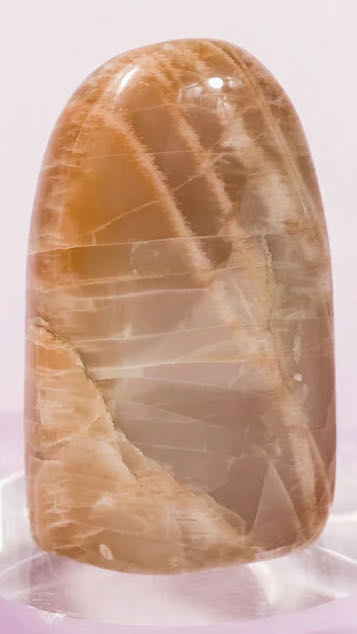 Retro Snowman Head With Tree