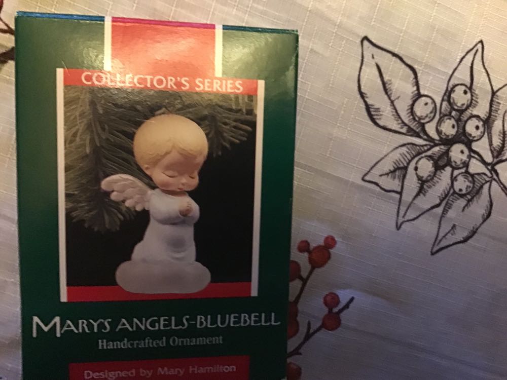 Duke University 2004 - Pergola