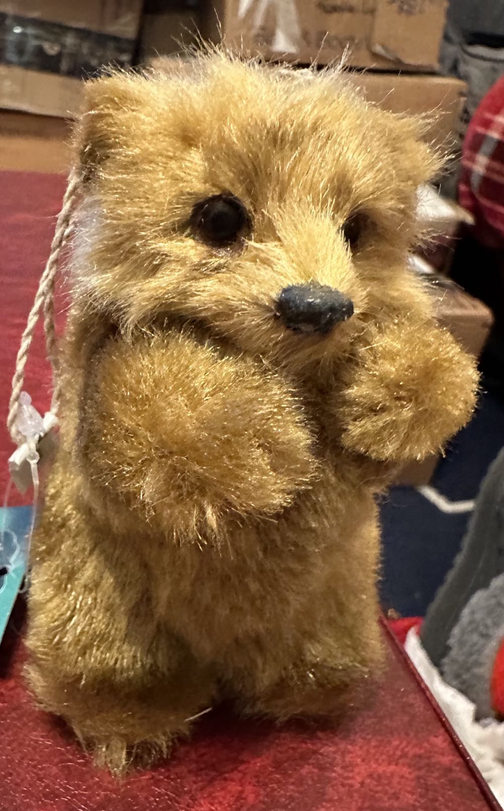 St Nicholas Bear  ornament collectible [Barcode 400393921775] - Main Image 2