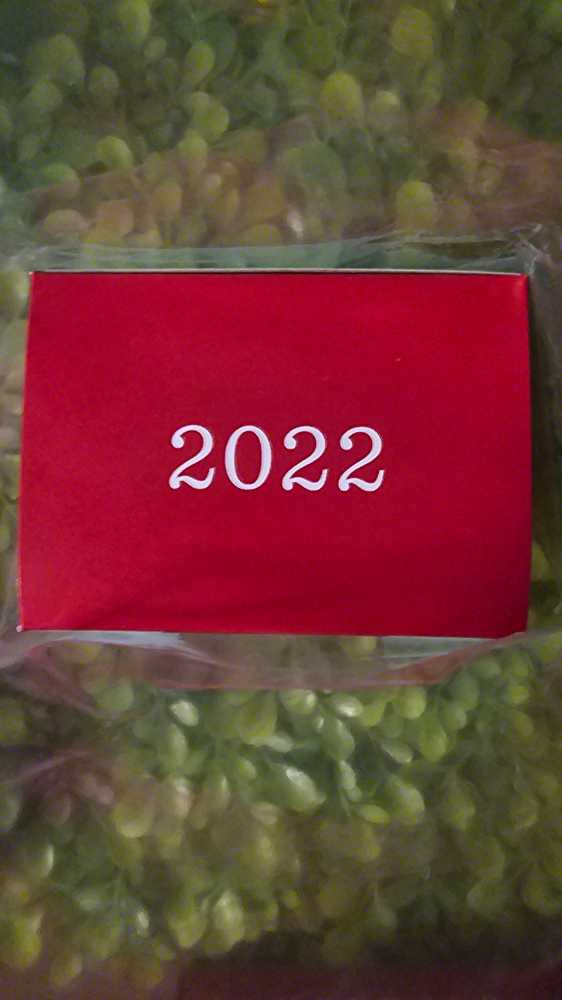 Season’s Treatings 2022 Special Edition Event Exclusive Repaint - Season’s Treatings (KOC Club Event Repaint) ornament collectible - Main Image 3