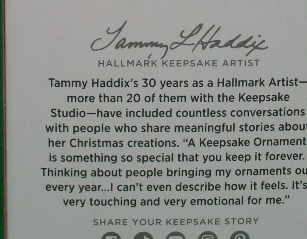 Cozy Critters Limited   (Racoon Cozy Critters) ornament collectible - Main Image 3