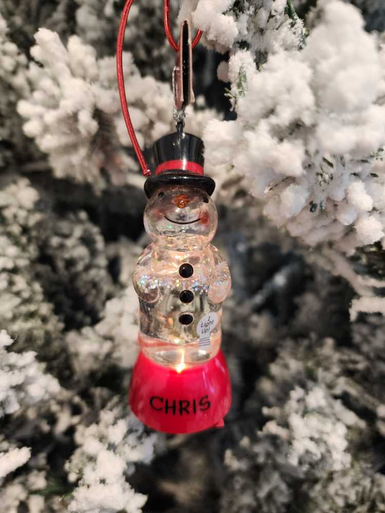 Spongebob And Patrick 2009