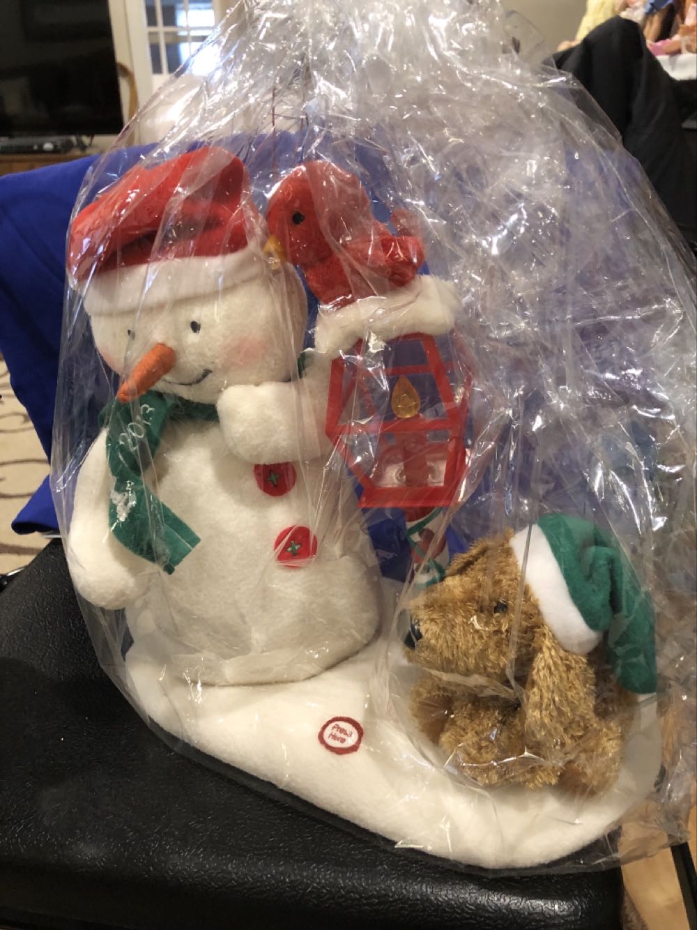 Celebrating the Magic of Disneyland