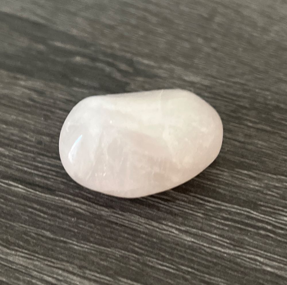 Mellon Arena Final Season