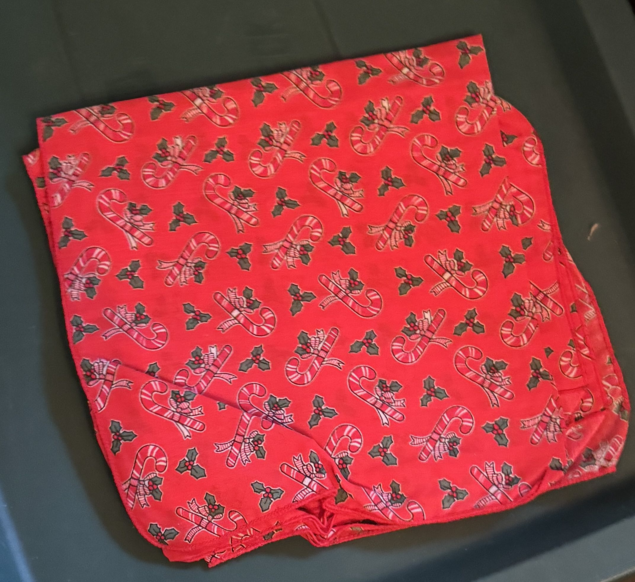 Zootopia Lenox Ornament