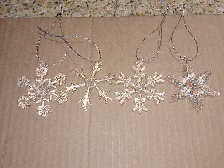 Campbell Family 2008