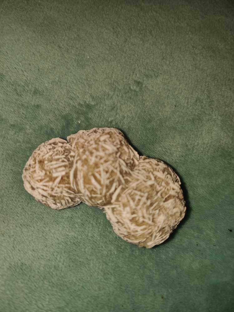 Desert Rose  ornament collectible - Main Image 2