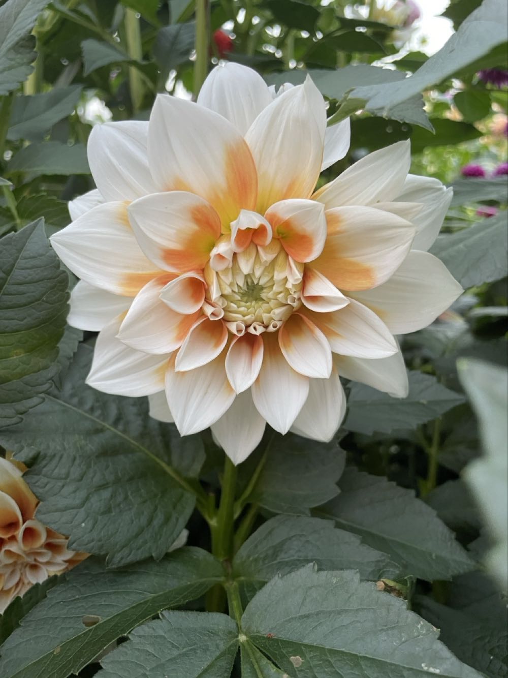 Glass Snowman Ornament