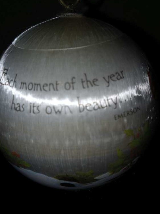 Squirrel  - Unbreakable Satin Ornament (Squirrel & Red cardnial on a Winter day) ornament collectible - Main Image 3