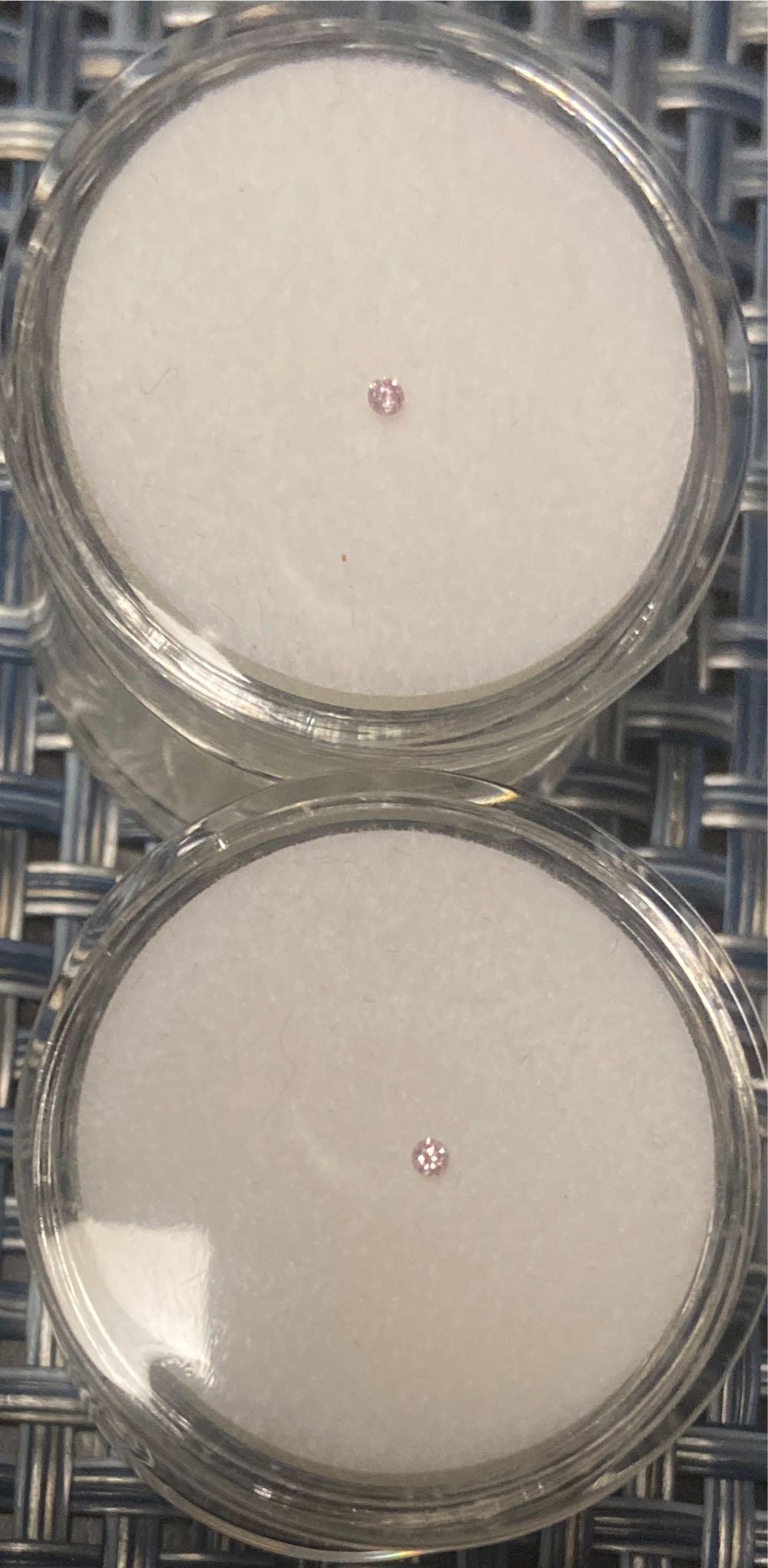 Official 2019 Thomas Cooper Library