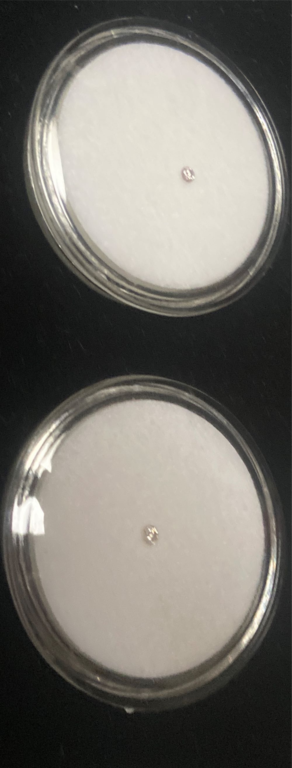 Del Prado: No.94 Sergeant Arab Legion