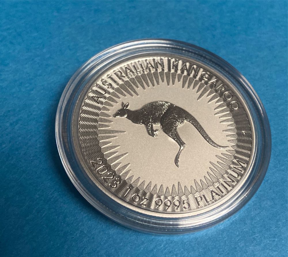 Dora Around The World