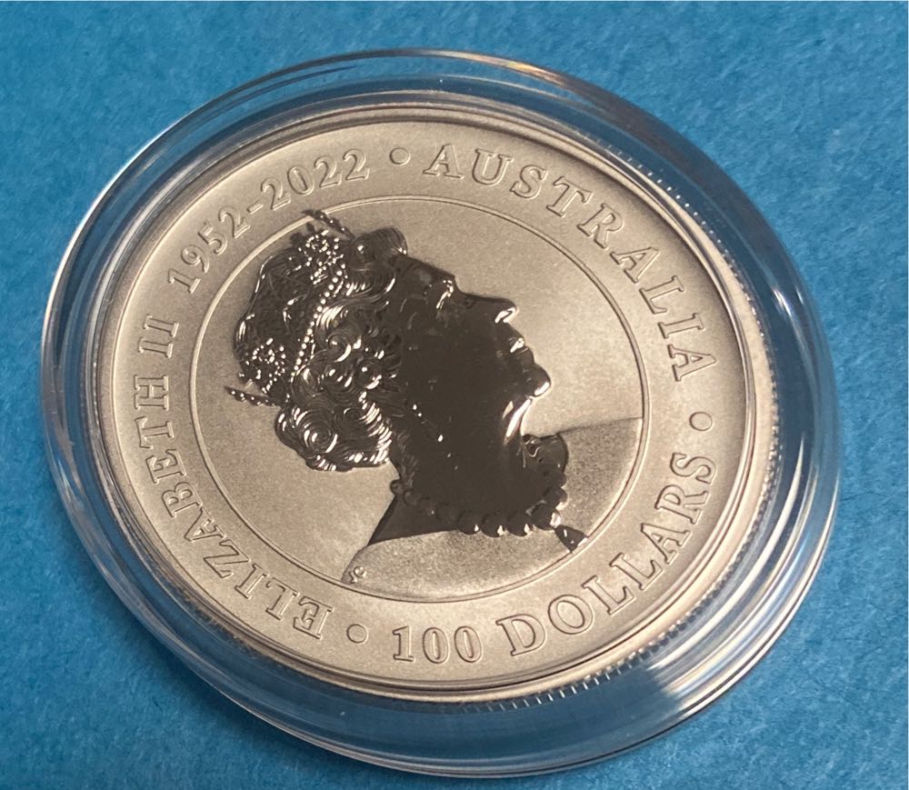 1oz Platinum Coin  ornament collectible - Main Image 2