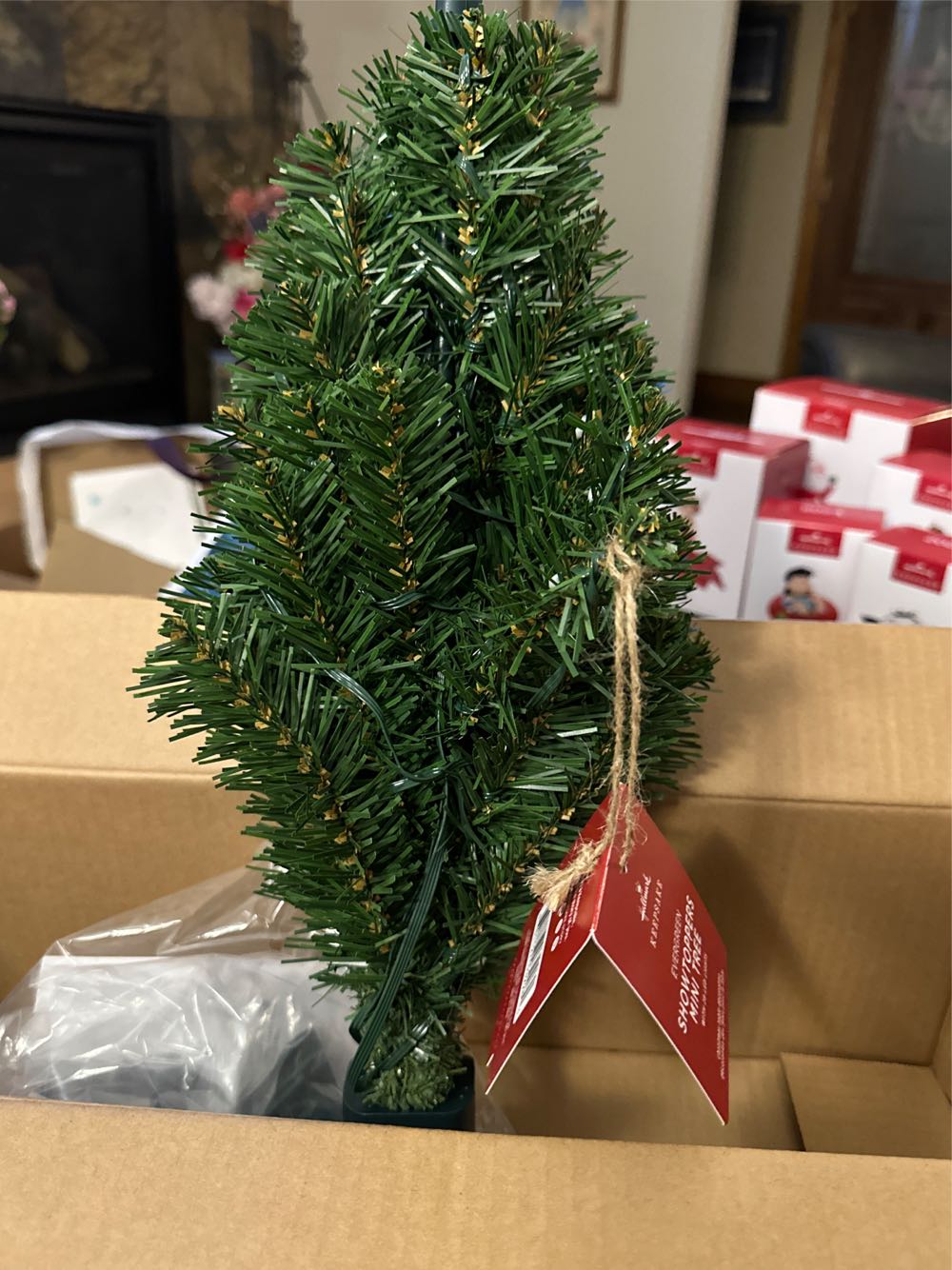 Showtoppers Evergreen Mini Tree - ShowToppers Mini Tree (ShowToppers Mini Tree) ornament collectible [Barcode 661127032260] - Main Image 4