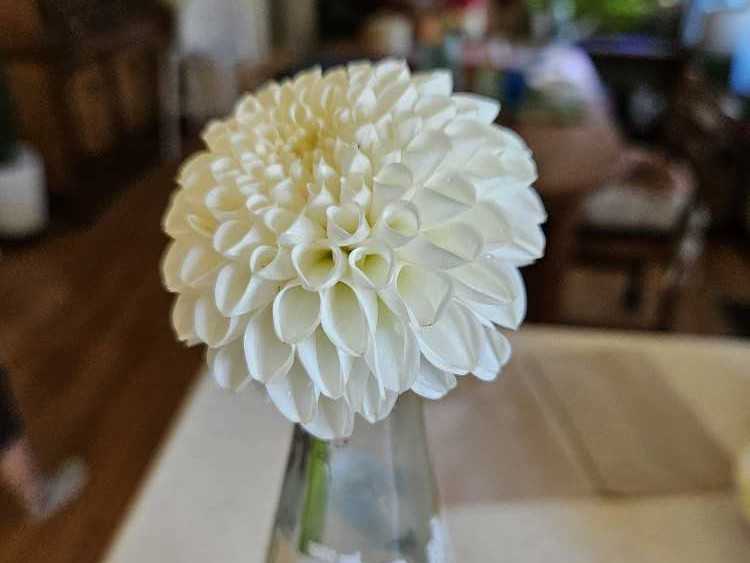 Lions, Tigers and Bears, Oh My!