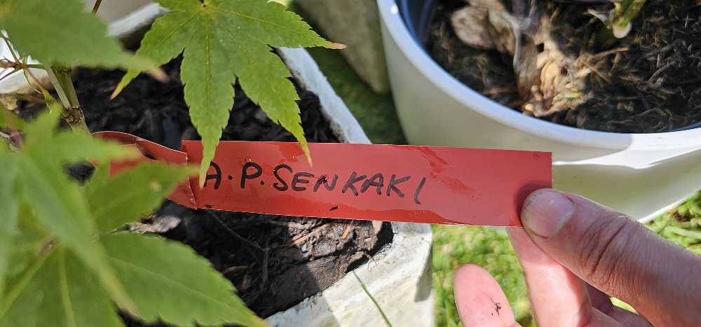 Oh, The Places You’ll Go!