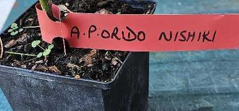 Oh, The Places You’ll Go!