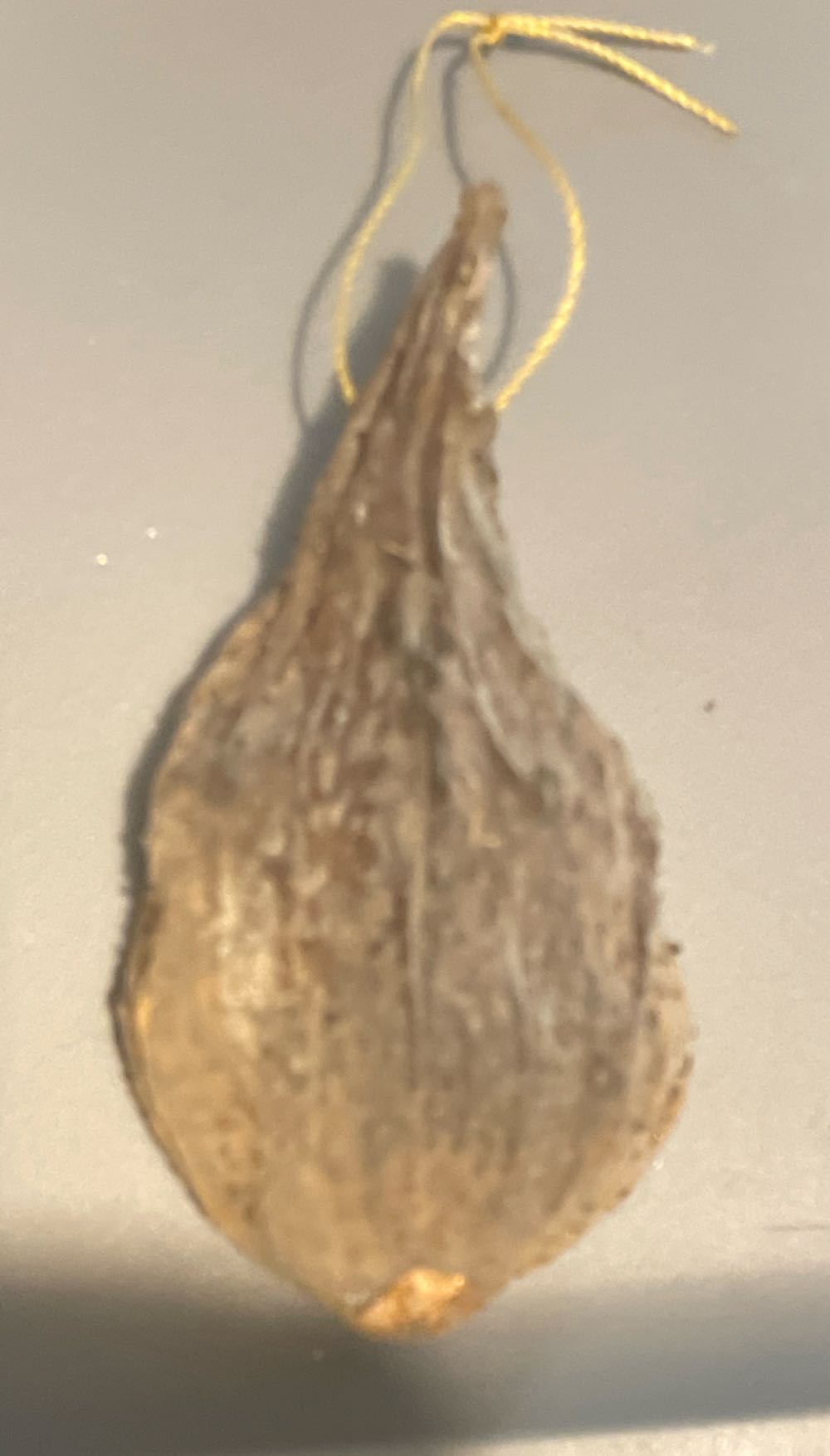 Milkweed - Pod - Angel - Singing - Angel (Milkweed Pod) ornament collectible - Main Image 2