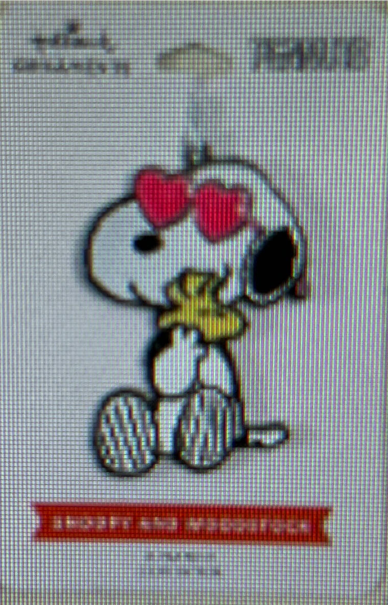 SGE Midwest Cannon Snowman With Gingerbread Man