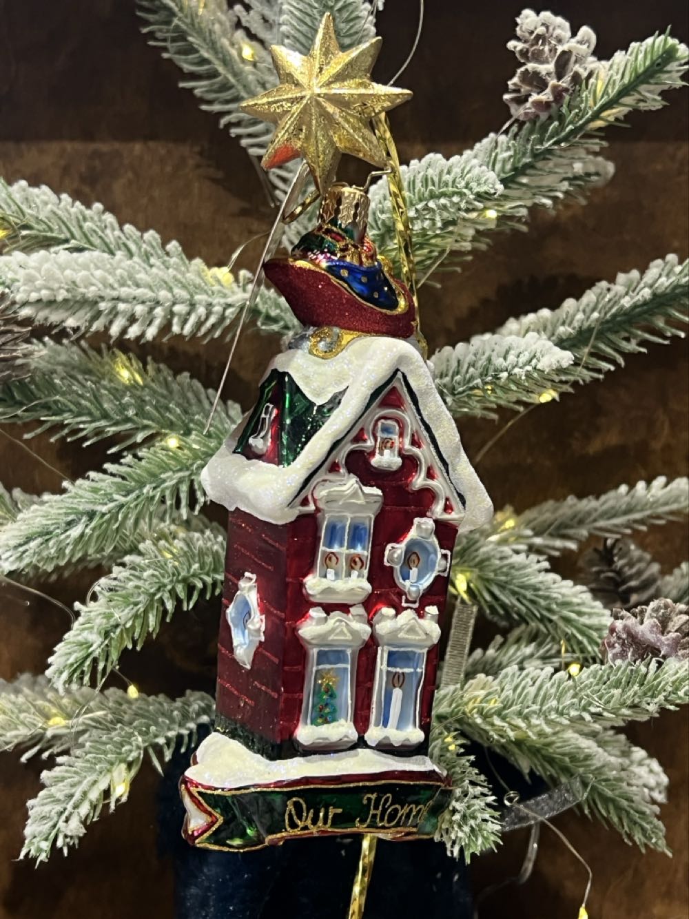 Rooftop Visitor  ornament collectible - Main Image 2