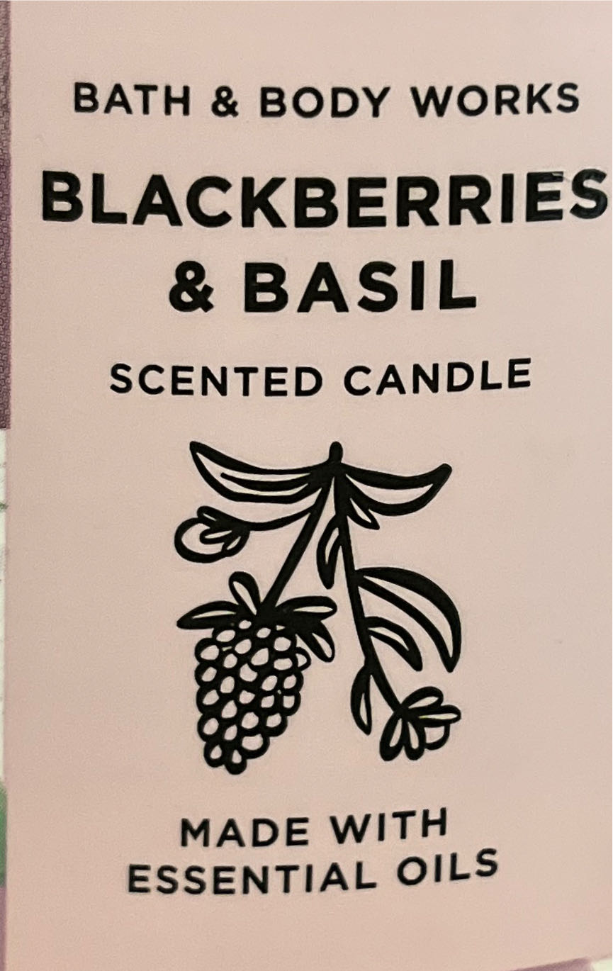 Disneyland Paris Meeko