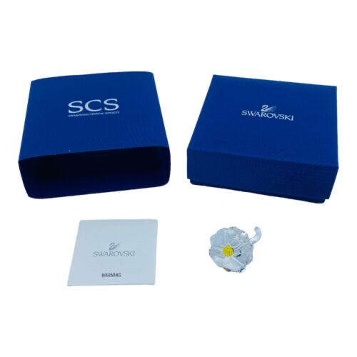 The Beauty of Birds Lady Violet-Green Swallow 