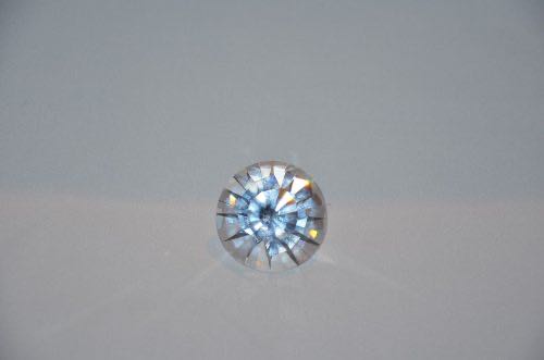 Disney Cast Member 2009 Family Holiday Celebration