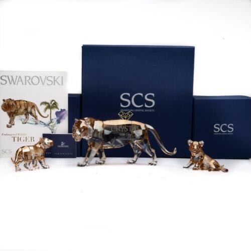 The Beauty of Birds Lady Violet-Green Swallow 