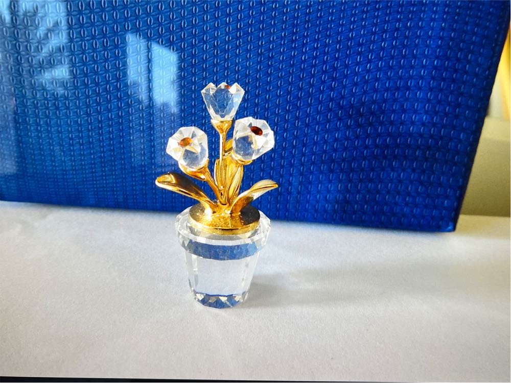 Our Feathered Friends