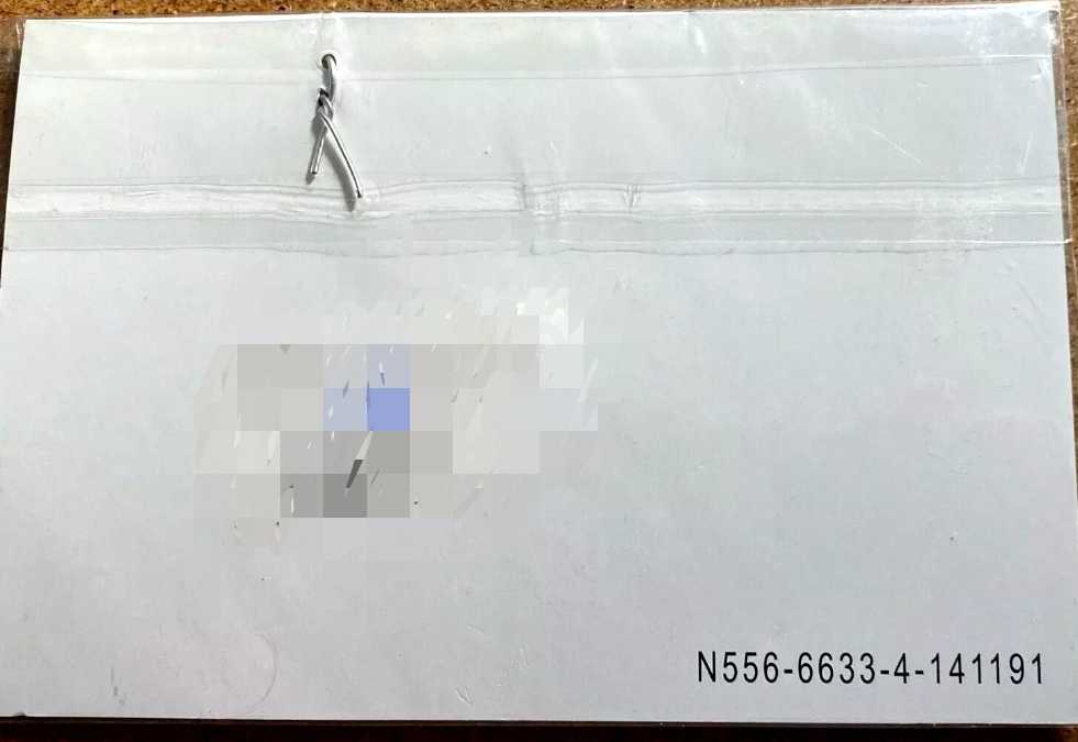 Disney Cast Member 2014 Family Holiday Ornament  - Disney Family Holiday Celebration (Lion King) ornament collectible - Main Image 2