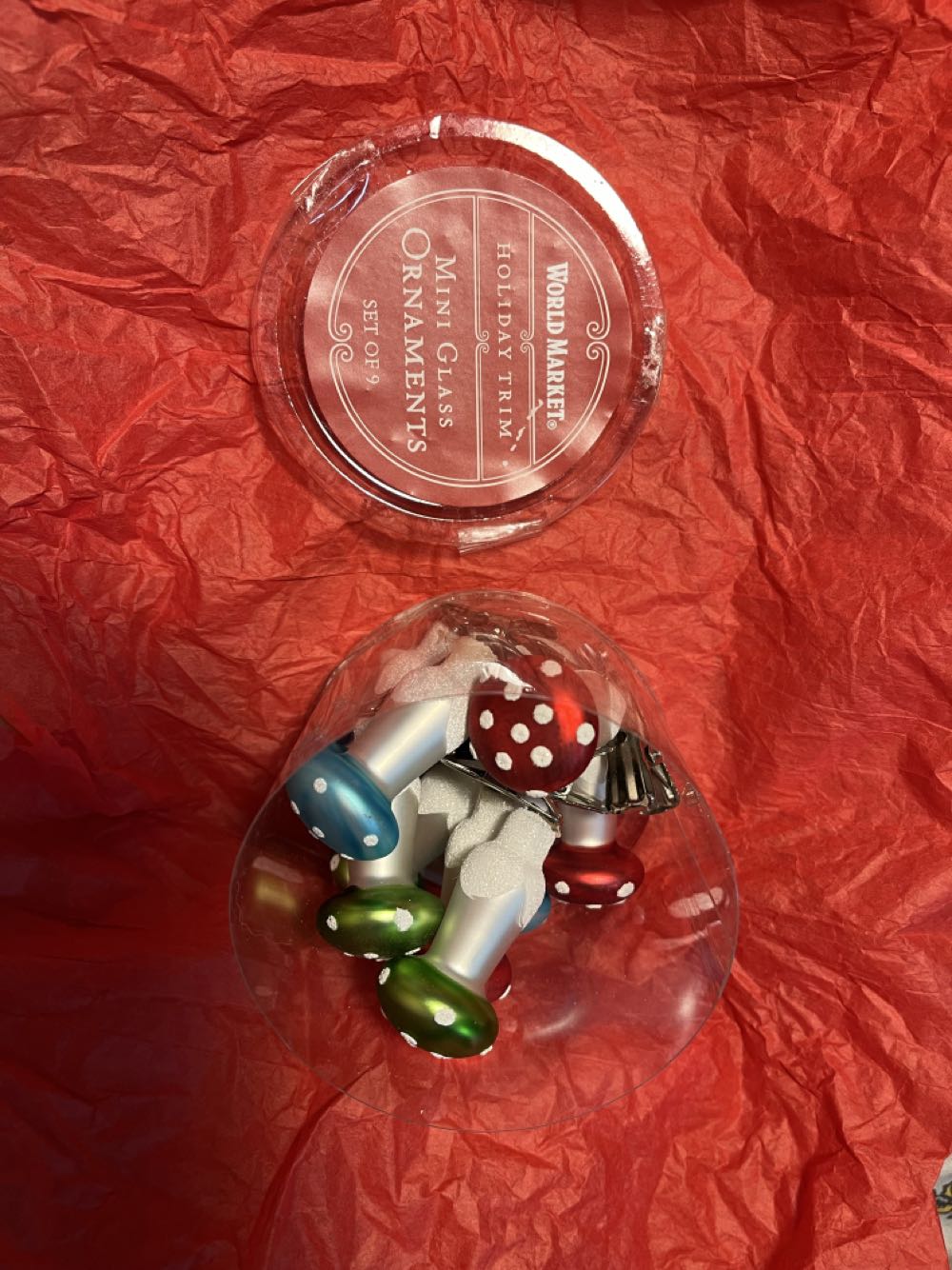 African Orchid Membership Gift 2018 SCS 5301553