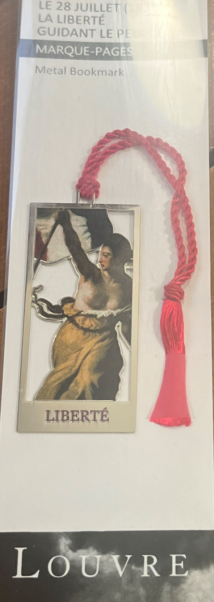 Sketchbook Elsa Snowglobe