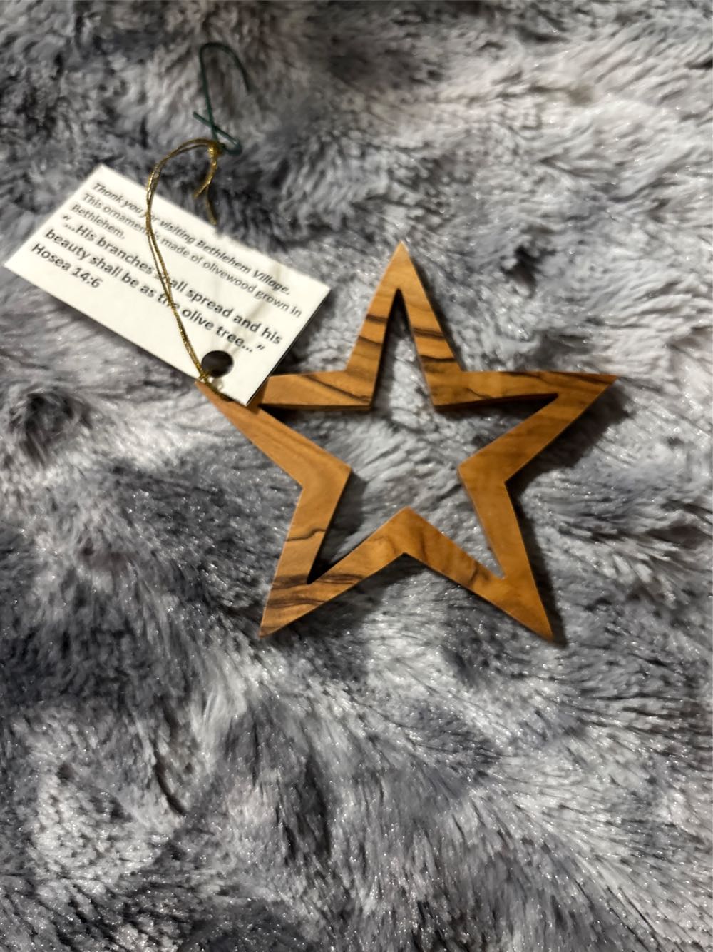 Mouse With Vintage Music Player