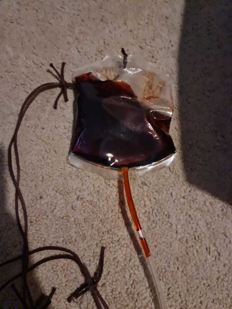 Paisaje Nevada Con Patinadores Y Trampa Para Pajaros