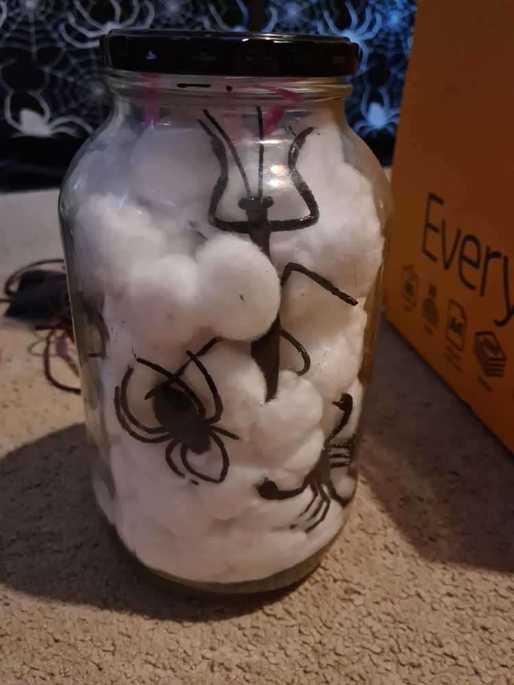 Bambi Skating Lesson 2005