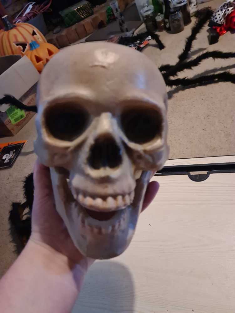 2019 Holiday Barbie Christmas Ornaments