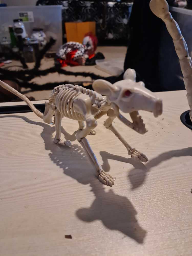 Rat Skeleton  ornament collectible - Main Image 2