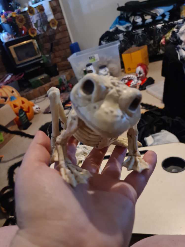 I’m Sending You A White Christmas