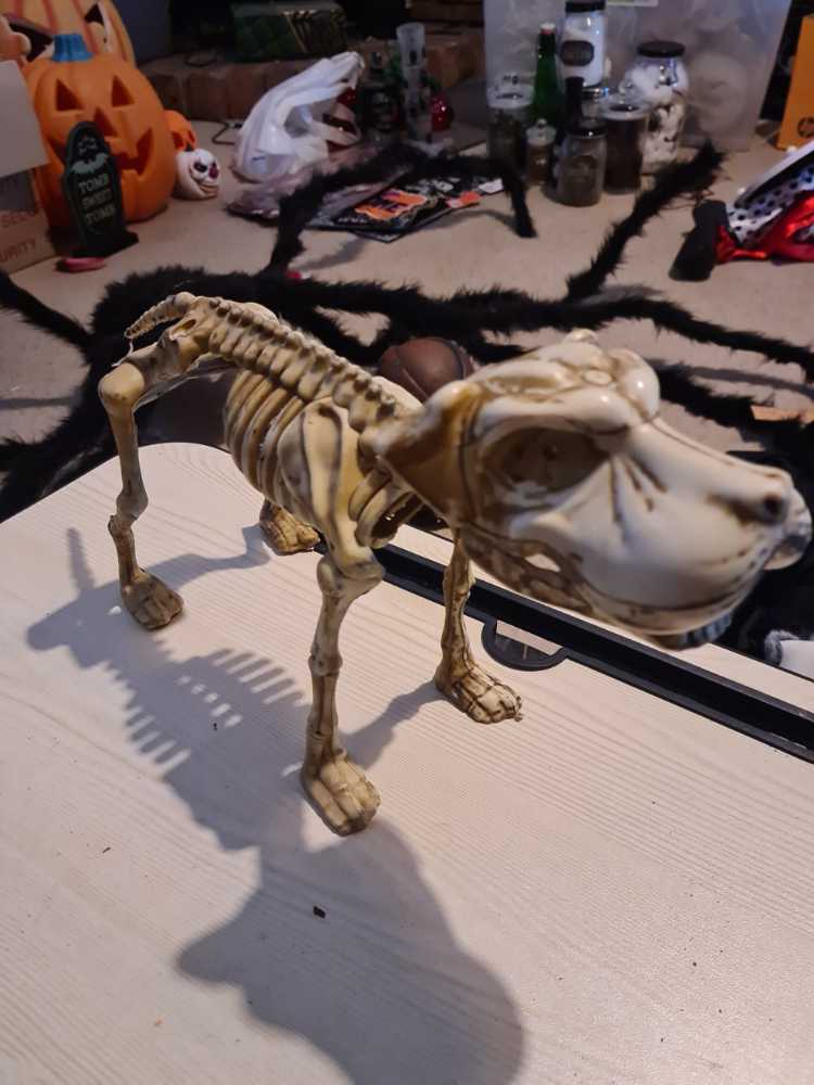 Luville Dancing Folkloric Friends #1163010