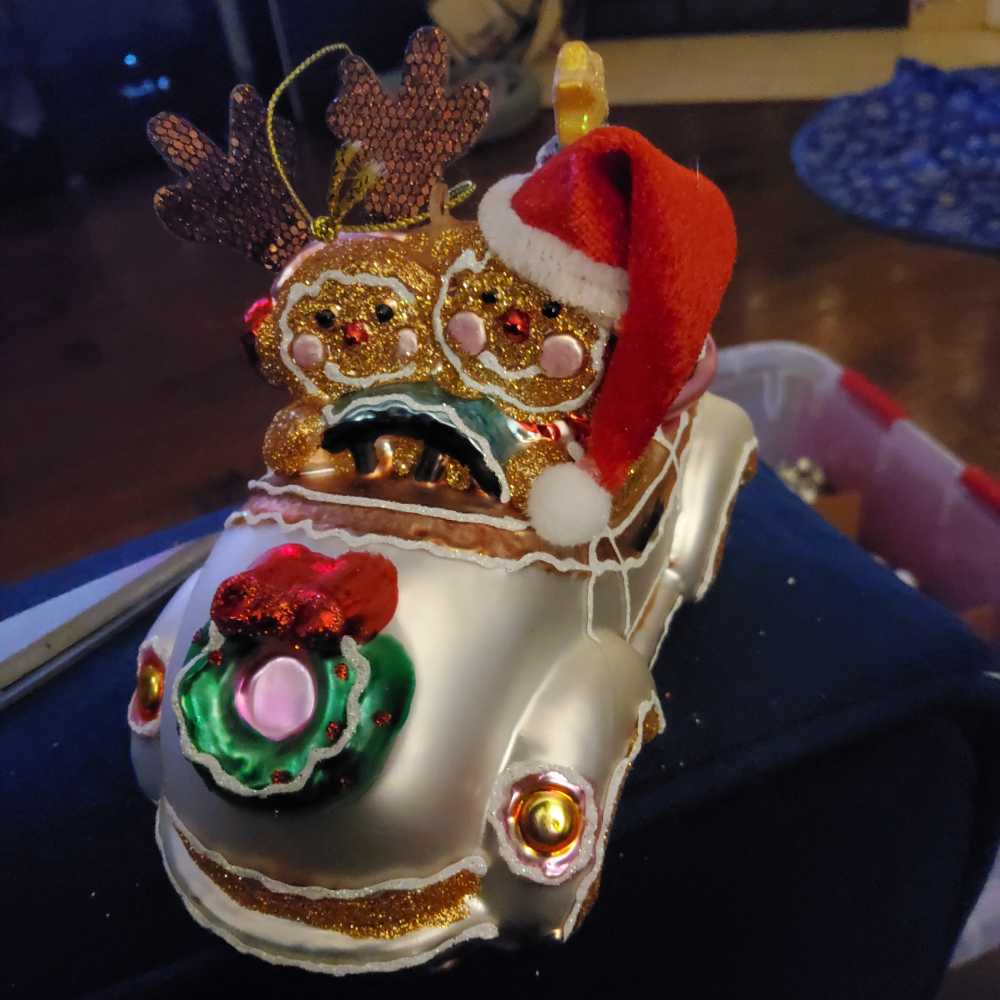 1981 S Claus Rooftop Deliveries