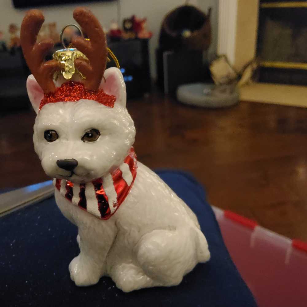 Hallmark Star Wars: Ahsoka Sabine Wren Christmas Tree ...