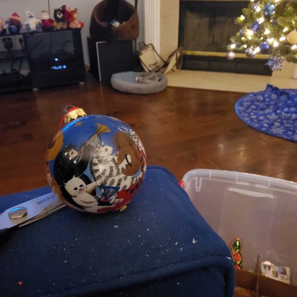 Husky Dogs Debnie mumm(r)