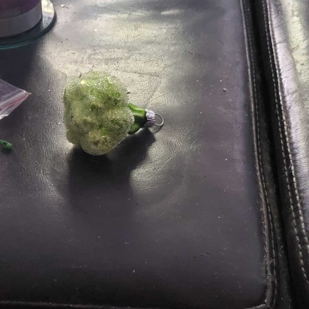 Vtg. 1999 Debbie Mumm  Mummford’s Home Light Up Igloo Holiday Village figurines