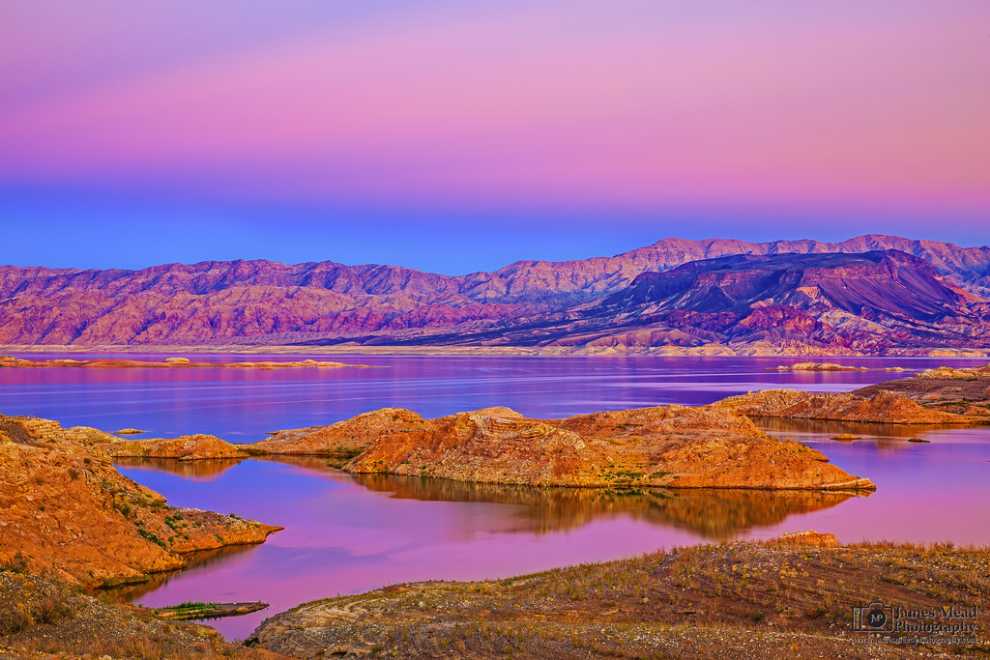Polar Bear: Plush Bear With Bow tie And Bottle