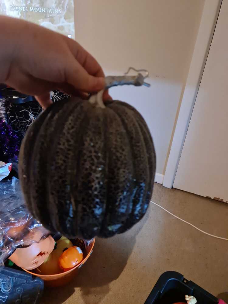 Elephant In A Car Fa La La Wood