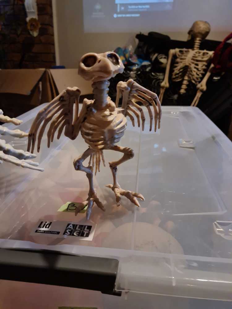 Skeleton Bird  ornament collectible - Main Image 2