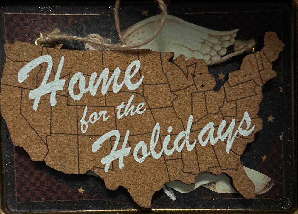 Charlie Brown With Little Tree