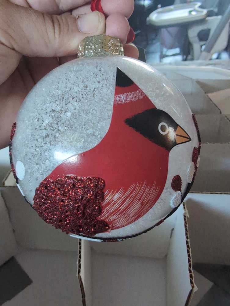 Santa’s Snowy Escort