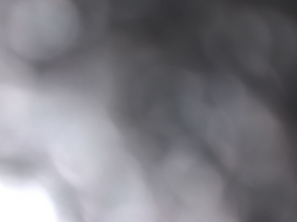 It’s Owl In The Family Gem